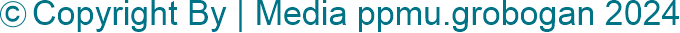 TikTok Logo